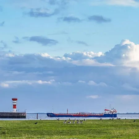 Elbblick Comfortable