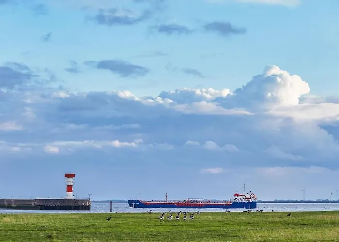 Elbblick Comfortable